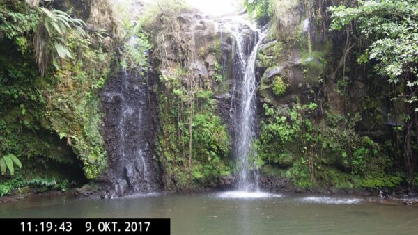 Kilimanjaro_Oktober2_2017P1922526-291