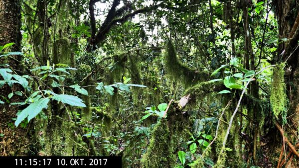 Kilimanjaro_Oktober2_2017P1922592-320