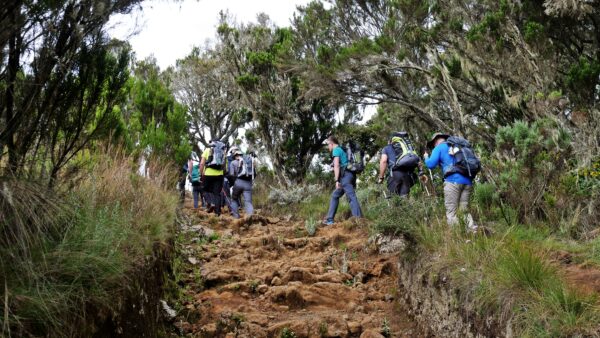 Kilimanjaro_Jan2019045