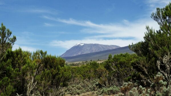 Kilimanjaro_JanFeb2019088