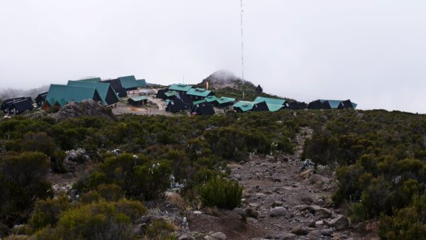 Kilimanjaro_JanFeb2019157